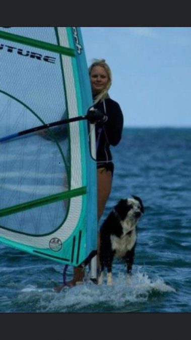 windsurfing with dog