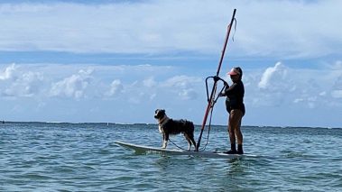 windsurfing with dog