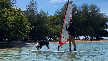 windsurfing